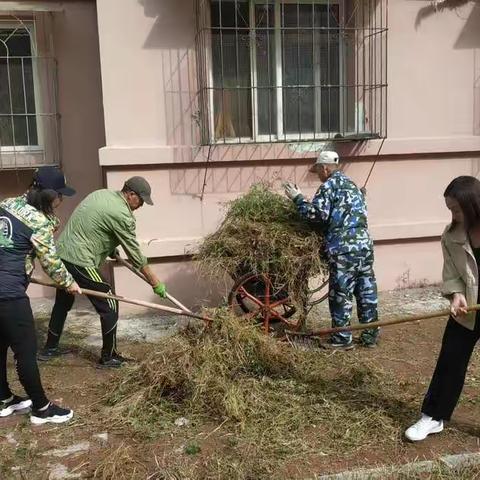 顺城区大环境卫生集中整治简报2