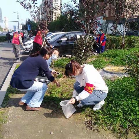 顺城区大环境卫生集中整治工作简报