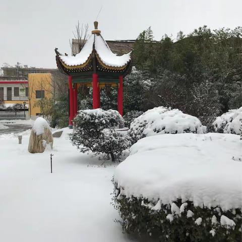 西安市高陵区鹿苑中学雪后大清扫