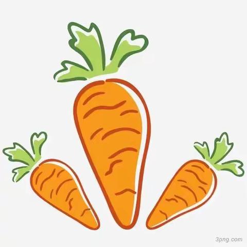 《菜篮里的胡萝卜》——路北区第十幼儿园中一班