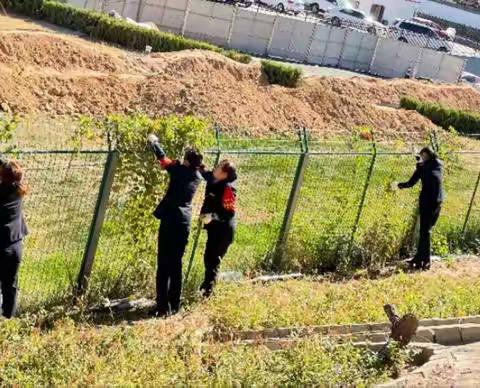 环境整治，提升的不仅是车站的颜值