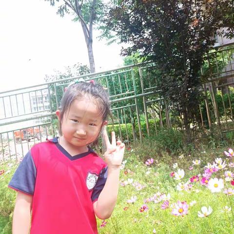 🌼童真岁月，不负时光🌼