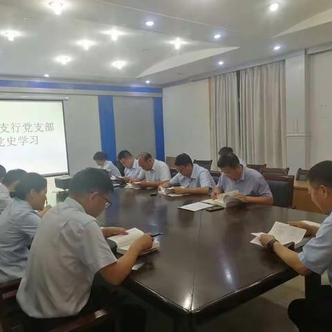 学党史 感党恩 跟党走（六）                    郾城支行党支部继续开展集中学习党史活动