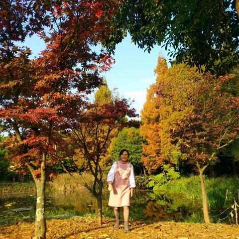 『秋韵』 ~ 絮语🍂️