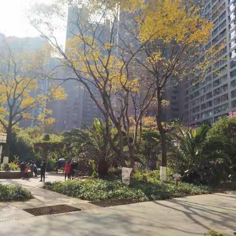 龙泉物业&和谐家园