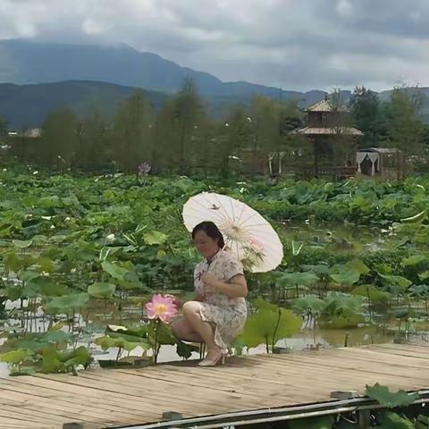 『夏 韵』~ 荷语 🌷️