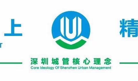 雾炮洒水齐上阵，筑牢防控第一线（2月10日）