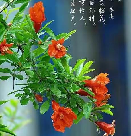 详研阅读新体系，引领阅读新航向——记全市整本书阅读研讨培训活动