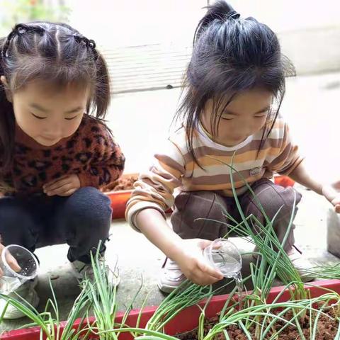 种下希望·收获幸福——【国子幼儿园】快乐植树节