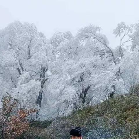 烛山茶社对仗习作展示