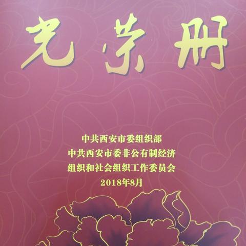 西安市家佳美商贸有限公司党支部荣膺“四星级党组织”殊荣！