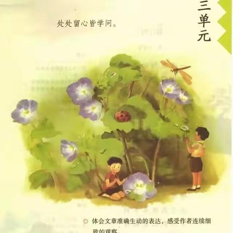 （磨课篇）我与巴蜀蓝湖郡小学（四）