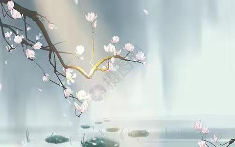 远舟海外生活随笔