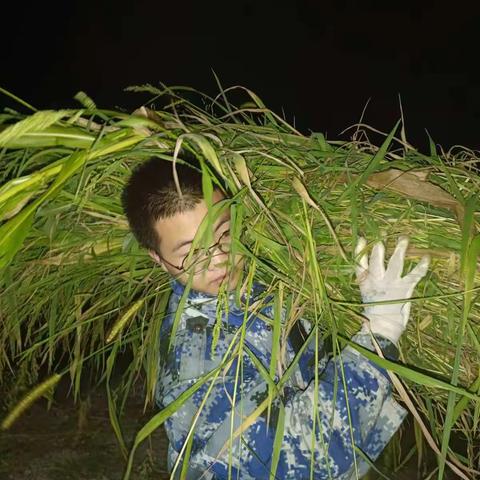 【劳动教育】传承勤劳家风，尽显奋斗底色——乌兰浩特一中家庭劳动教育风采……