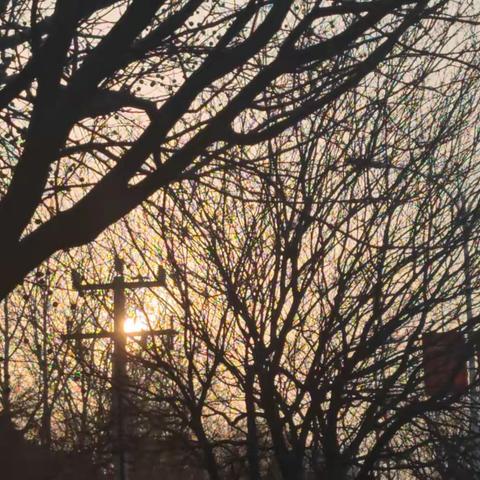 小练笔:《我在康成大街遇到了……》