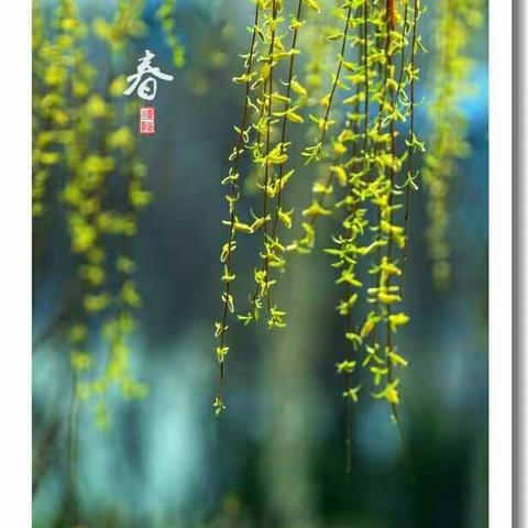 四月葱茏，芳菲缱绻