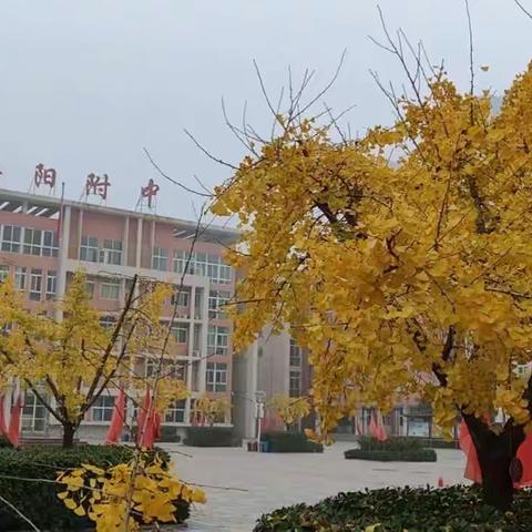 心灵手巧·美撼人心～河南师范大学洛阳附中艺术学科线上教与学