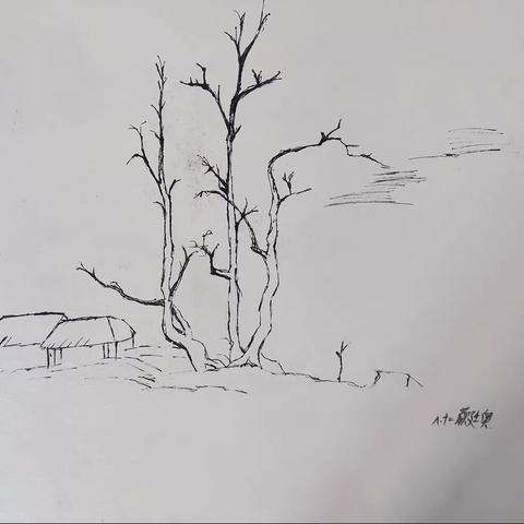 初中部美术网课