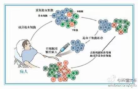 造血干细胞移植中心工作荟萃之一：为爱相髓，移路心声-岁末年初，我们的工作记