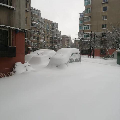 暴雪偶感