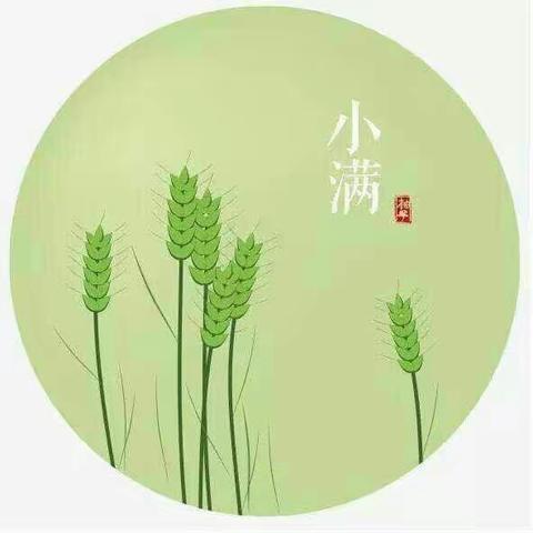 二十四节气之┅┅小满🌾