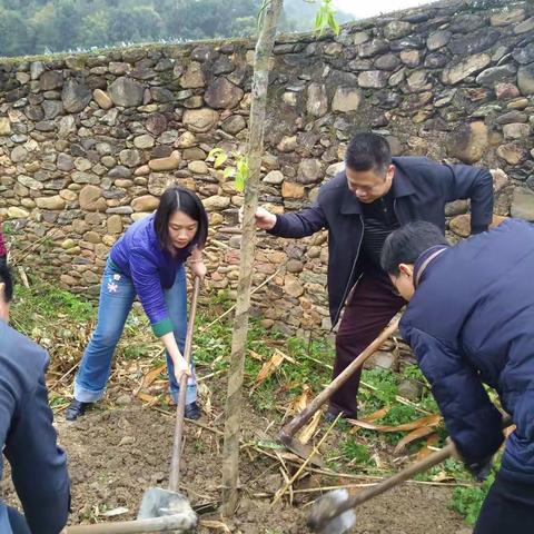梅县区招商局到帮扶村开展植树活动