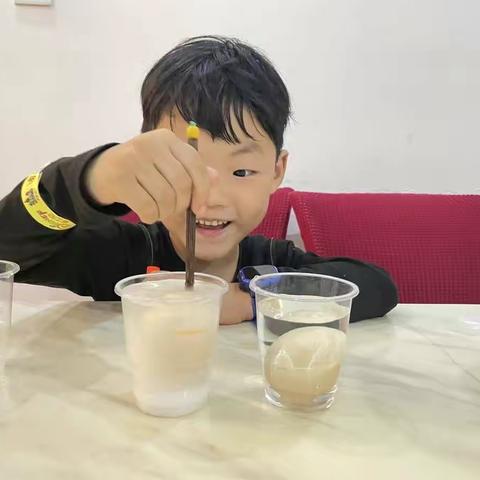 宁泽汐的科学小实验---《悬浮的鸡蛋》