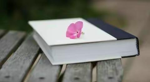 孩子们的假期阅读