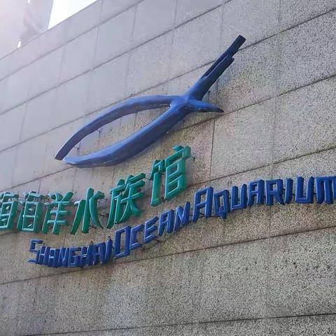 2019.9.18  海洋水族馆