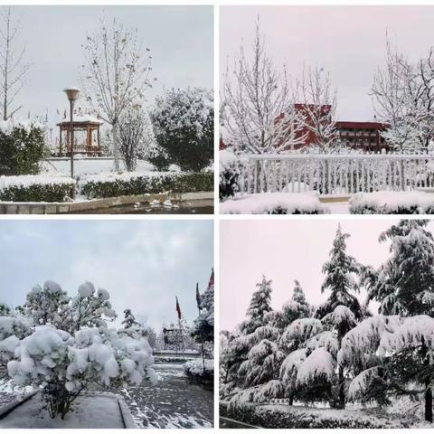 初雪纷飞    情满校园——共城中学初中部师生扫雪记实