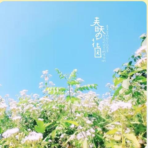 “十年树木🌲百年树人”——实验小学三（7）班植树节活动