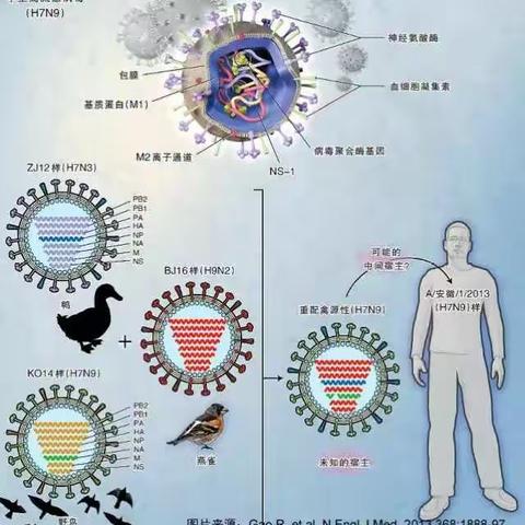 N7N9与人类的对话：我从哪里来?