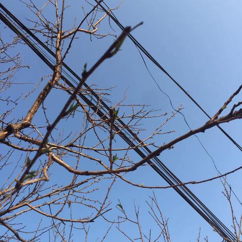 春天还会远吗