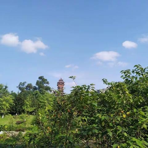 一梦千年