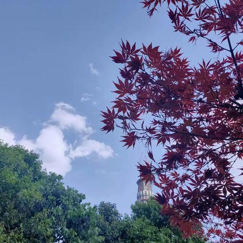 清明四月回乡随想