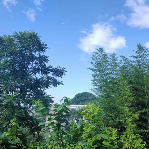 尘