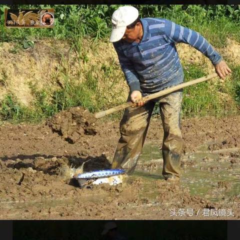 节粮小卫士（社会）