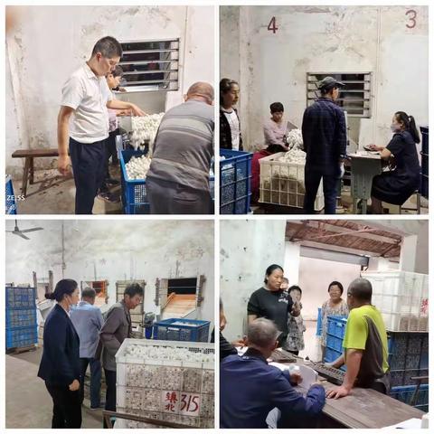 贴心服务蚕农，助力乡村金融振兴