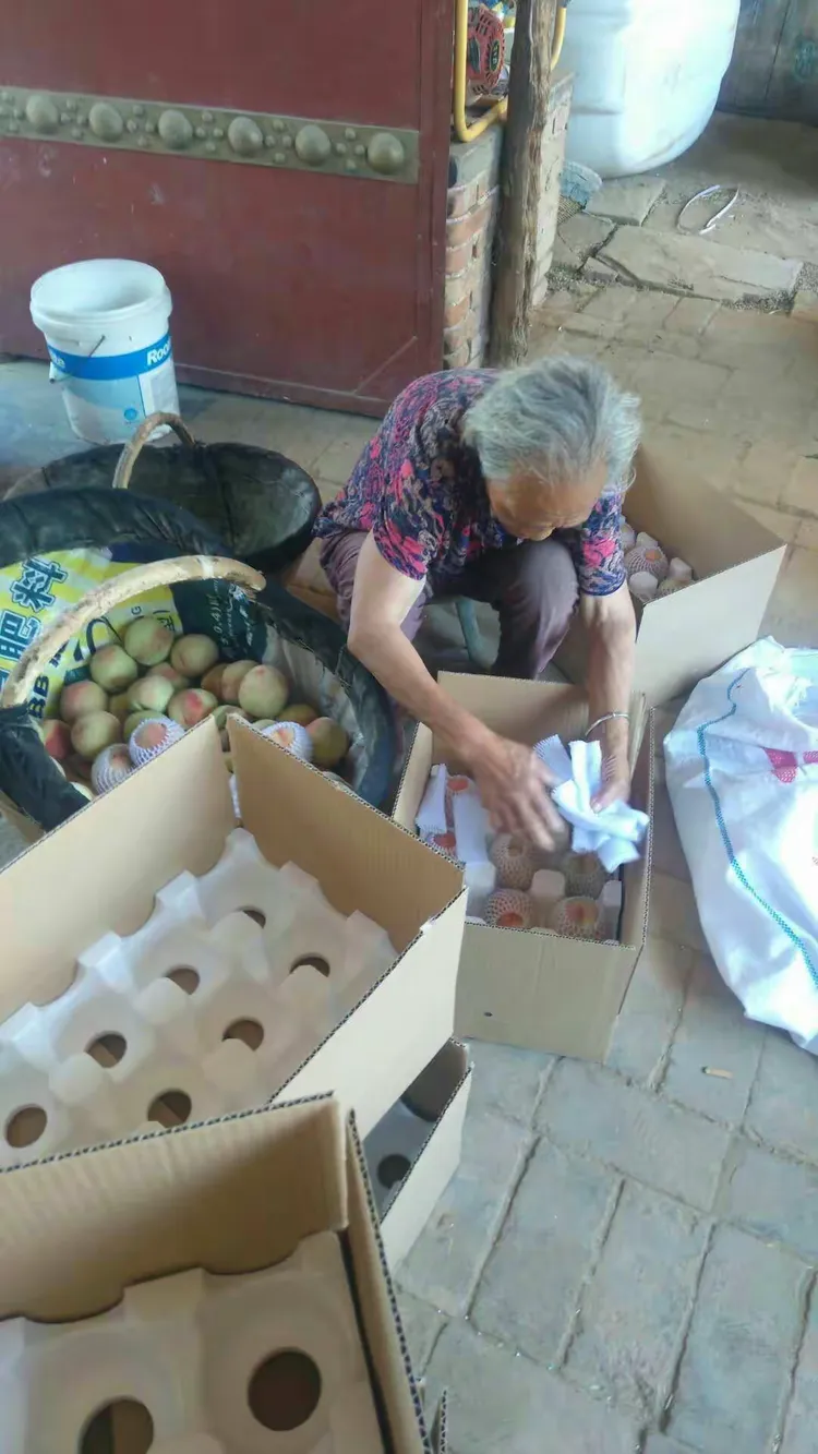 ������賿��������ܫ����- ũ��İ����:���ˮ����