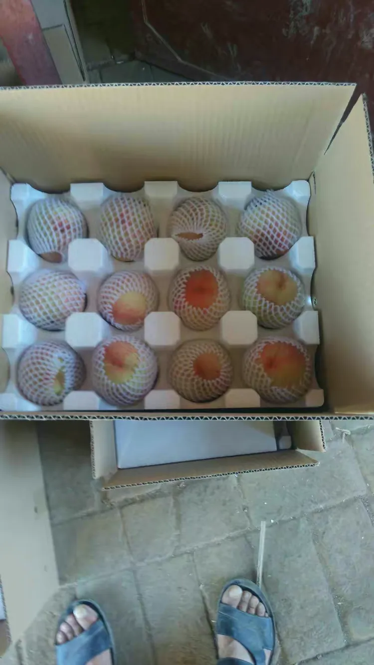 ������賿��������ܫ����- ũ��İ����:���ˮ����