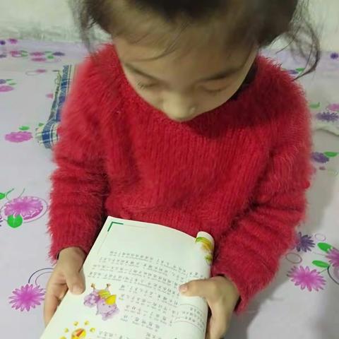 铁路二小一年五班王子墨假期阅读《机智的老山羊》