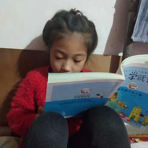 铁路二小王子墨阅读打卡4，《没鼻子的小狗》