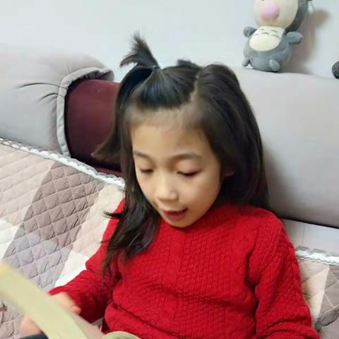 6铁路二小一年五班王子墨假期阅读《蜘蛛大婶儿》