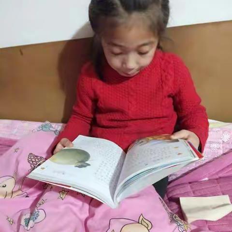 平静的守望的美篇