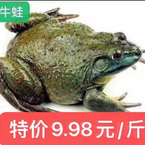 池园万户喜生鲜超市（新多又好生鲜超市）3月14日-3月15日特价来袭！更多优惠商品欢迎进店选购！