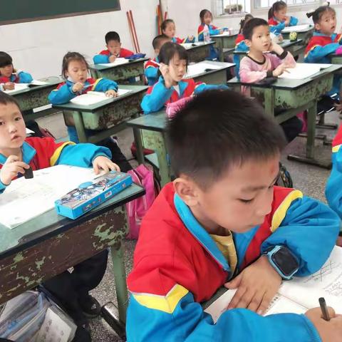 我们是小学生啦