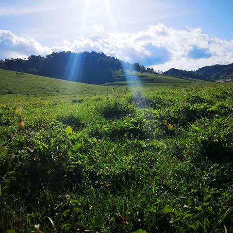 关山草原与太白山之旅