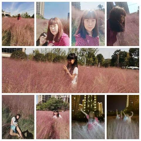 粉黛乱子草在盛开时会形成一片粉红色的花海，非常梦幻好看，沉浸在一片片粉色的海洋中就像公主一样幸福