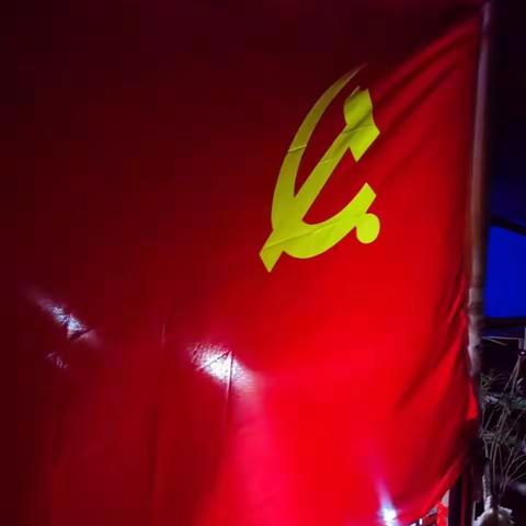 坚守“疫”线，同心战“疫”——光荣村扎实开展疫情防控工作党日活动