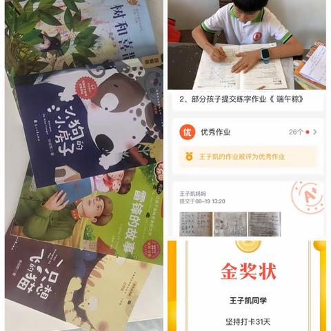 王子凯暑假实践作业